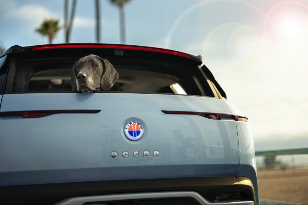 Fisker Ocean SUV na aukciji: koliko biste platili?